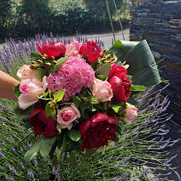 Photo n°7 de Cline Décoration Florale à Sainte-Gemmes-sur-Loire (Fleuriste)