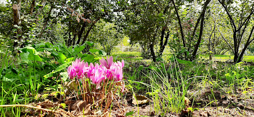 Parco Libellula - Visual