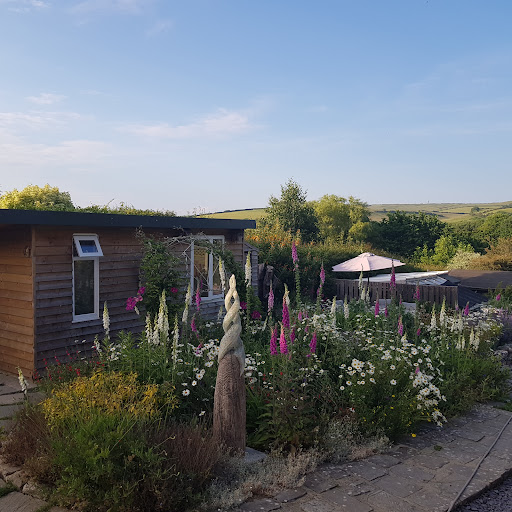 DPM Holistic Therapies