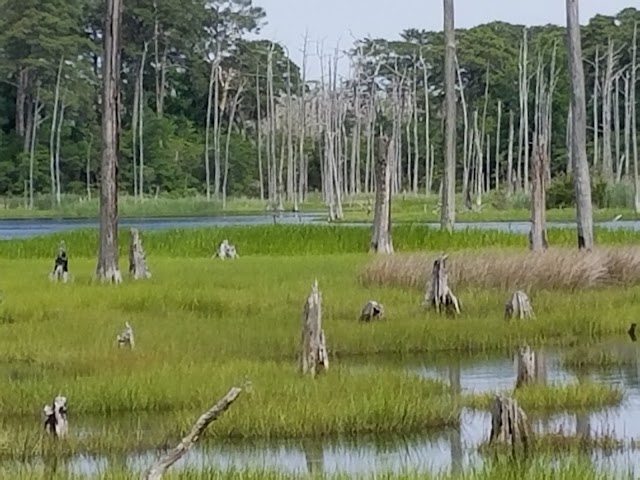 First Landing State Park