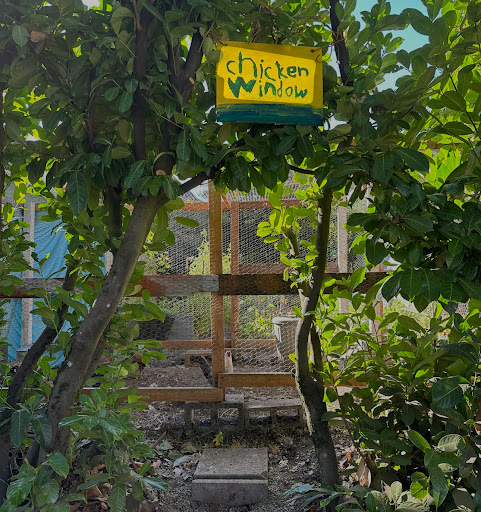 Chicken Window - Visual