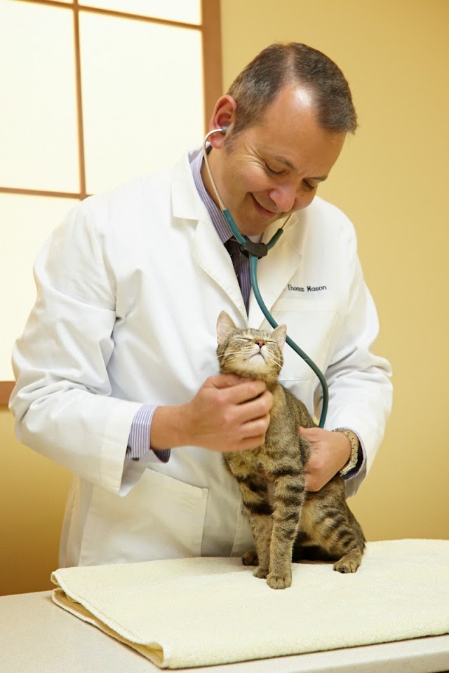 San Francisco SPCA Veterinary Hospital Pacific Heights