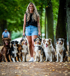 Hund