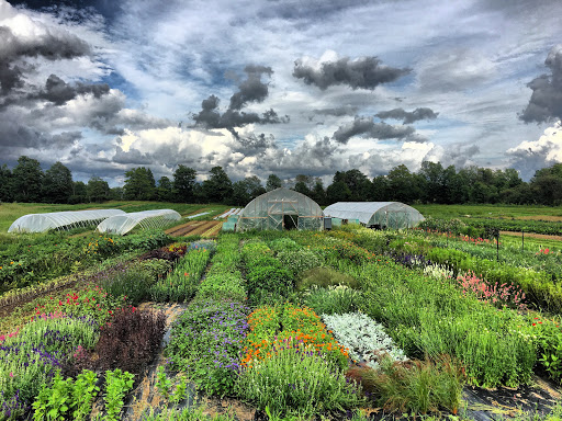 Sideroad Farm Gallery - Canada