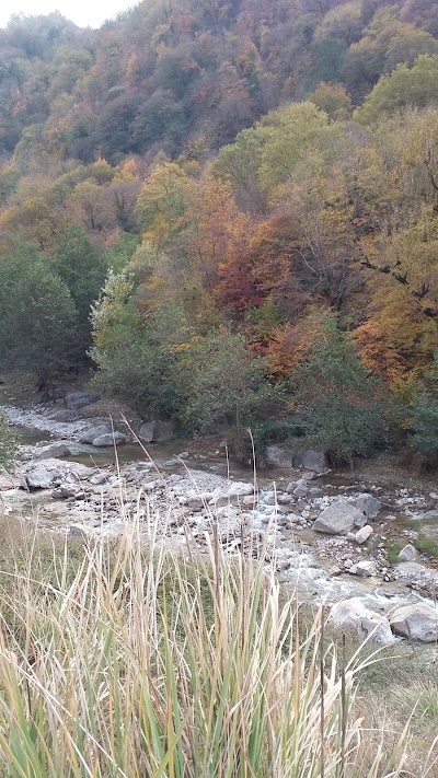 Photos of Farsian Park