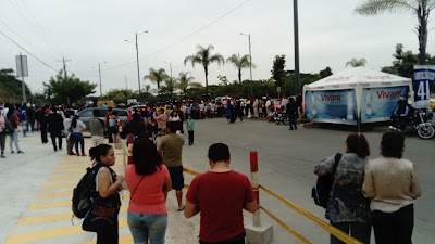 gas-station