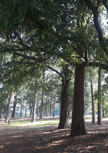 Lagoon Park Pete Peterson Ldg - Thumbnail