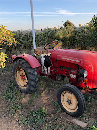 Photo n°4 de Le marché bio à Lierville (Magasin d'alimentation bio)