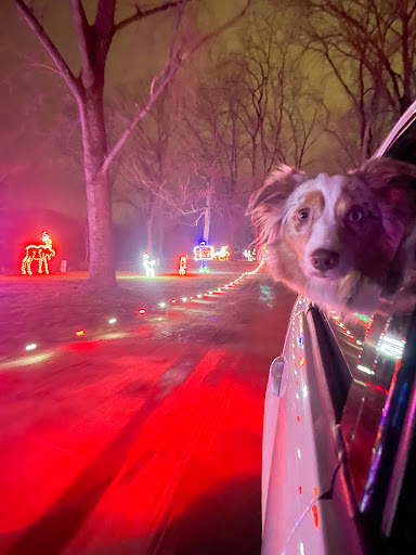 Lansing Holiday Light Show - Thumbnail