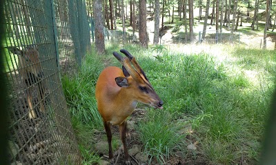Photos of Thimphu Zoo