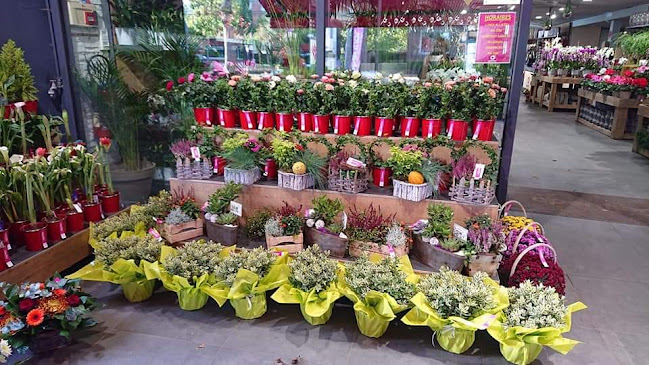 OPENFLOR Lambersart - Fleuriste