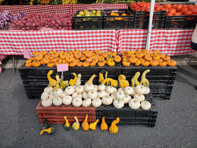 Vienna Farmers Market