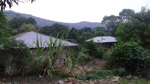 Tempexquisco - Visual