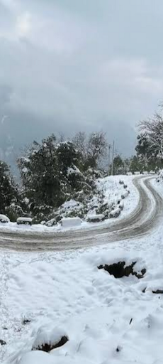 Mayodia Snowfall view 20%Off post image