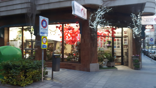 Orquídea Haus