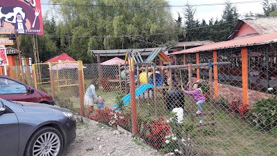 Photos of Restaurante Santa Res