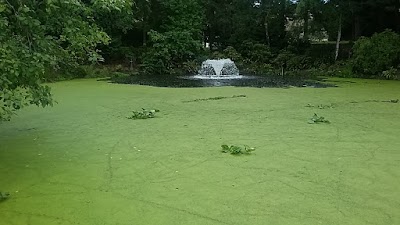 Photos of University of Victoria