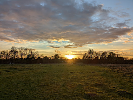 West Common - Visual