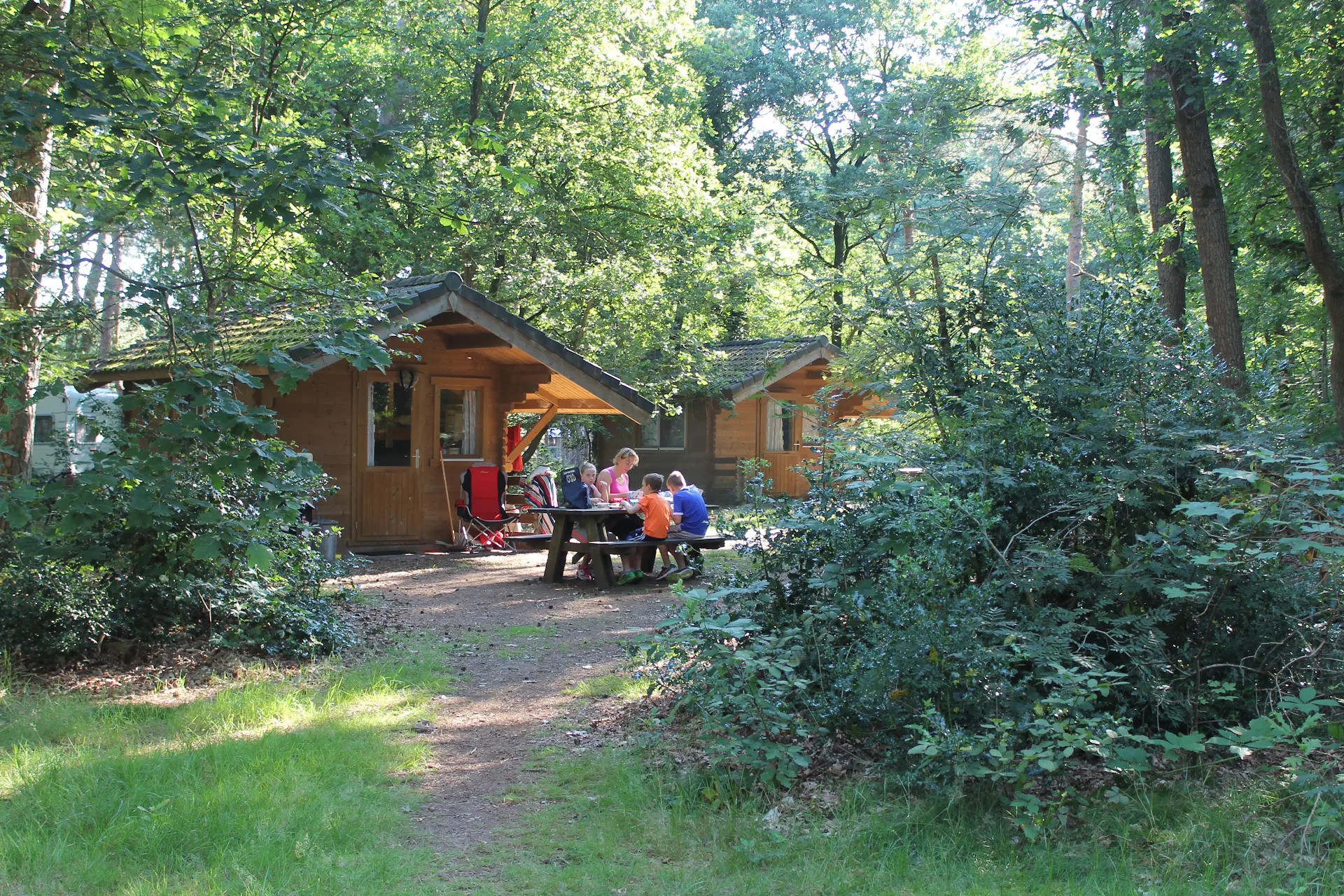 Forrest park Langeloërduinen