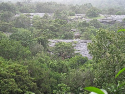 Photos of Buddhangala Raja maha Viharaya