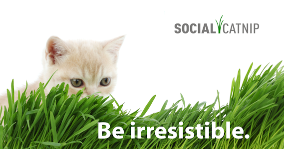 SocialCatnip Web Development and Marketing Tech Company - WY 201 Shawnie Ln, Glenrock, WY 82637, United States