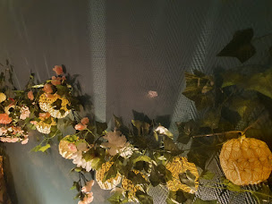 Photo n°13 de Modelages du monde byAurel à Montigny-lès-Metz (Institut de massages)