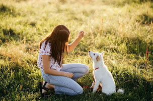 Photo n°15 de Rémi Guérin éducateur canin à Pessac (Dresseur d'animaux de compagnie)