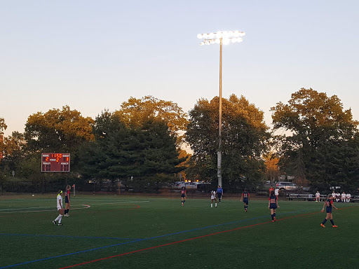 Darcy Field