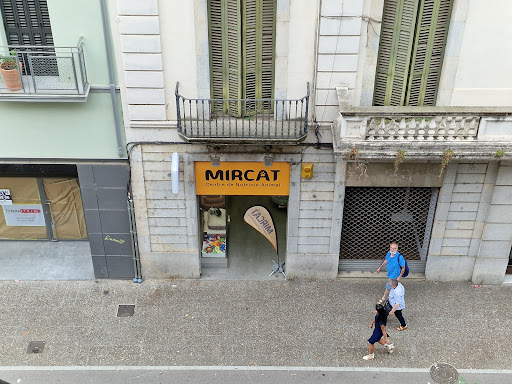 Mircat - Visual