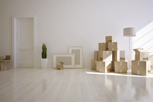 ShipShape Organize - Visual