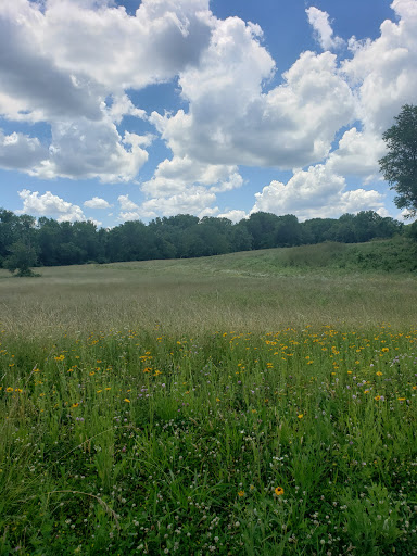 Paper Mill Park - Visual