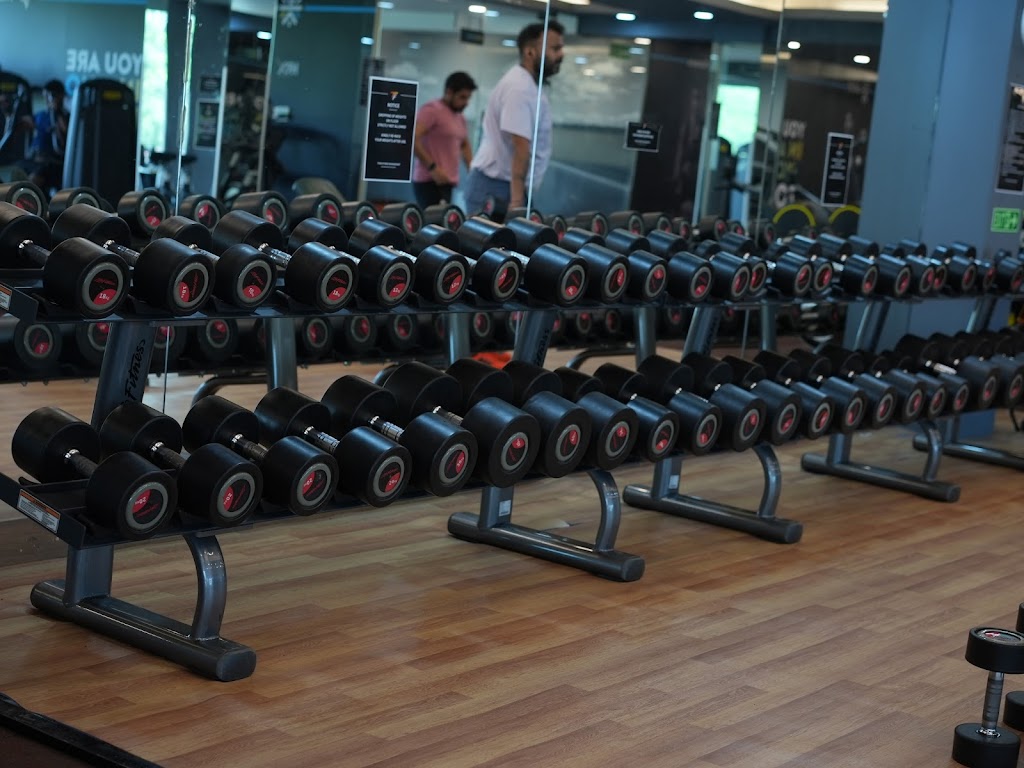 Thew Fitness Available On Cult Fit Gym In Dlf Phase 1 Gurugram