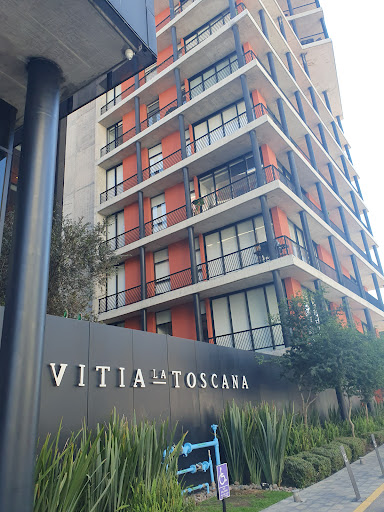 Vitia - Visual