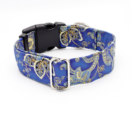 Caninus Collars - Visual