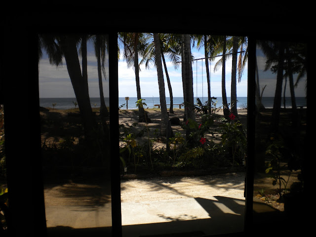 Plumita Pacifica by null