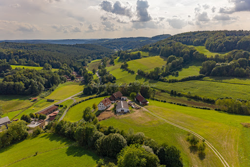 Busbach - Visual