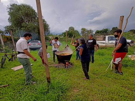 Escuela de Campo Cosijoeza