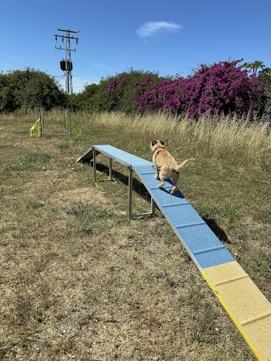 Dog School Nerja - Visual