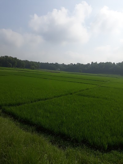 Photos of গফুর প্লাজা