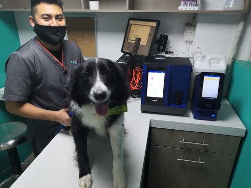 Veterinaria Soli