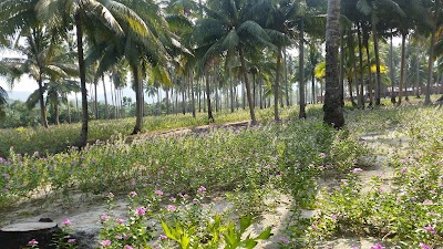 Photos of Kaoh Bek Chheb