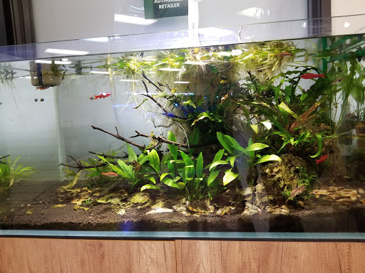 Aquatek Tropical Fish - Thumbnail