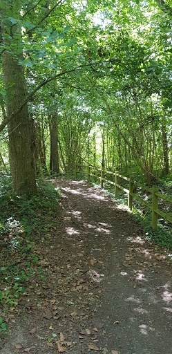 Parc forêt de Rospez - Thumbnail