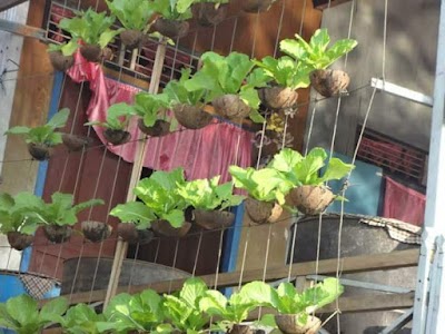 Photos of Agriculture Department, Paranthan