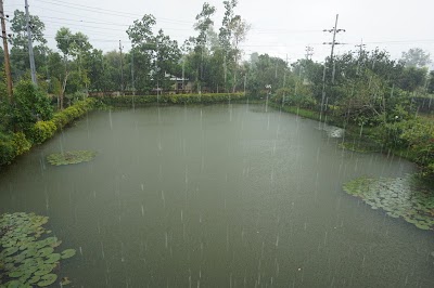 Photos of Sreemangal Resort