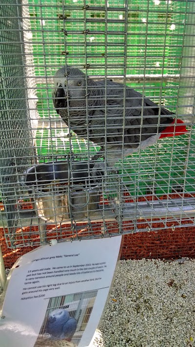 Photos of Rainforest Clinic For Birds and Exotics