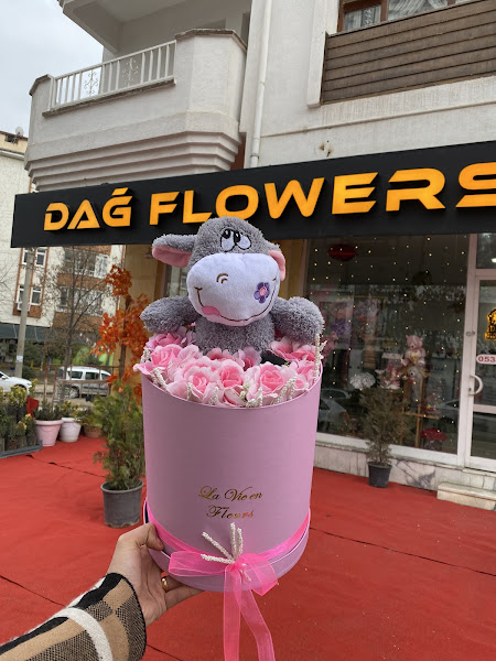 DAĞ FLOWERS ÇİÇEKCİLİK logo