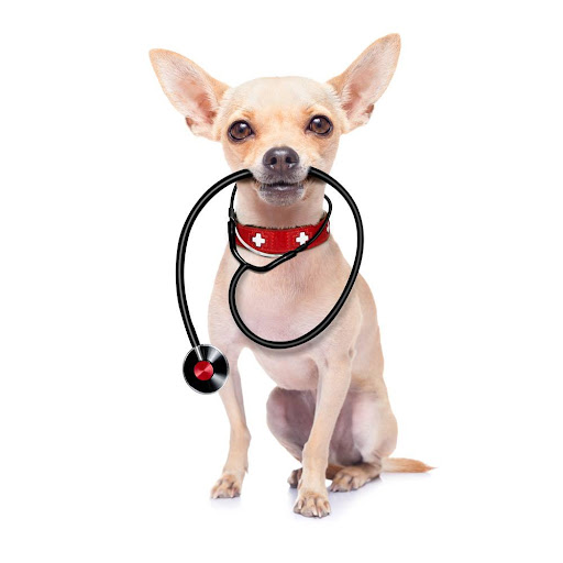 Primevet Veterinary Hospital - Thumbnail