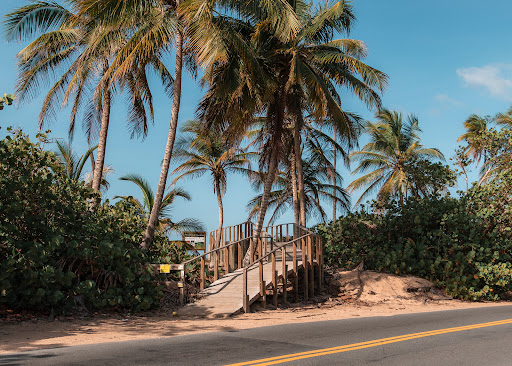 Playa Chatarra Gallery - United States