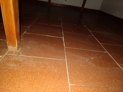 Photos of Hotel Los Vascos